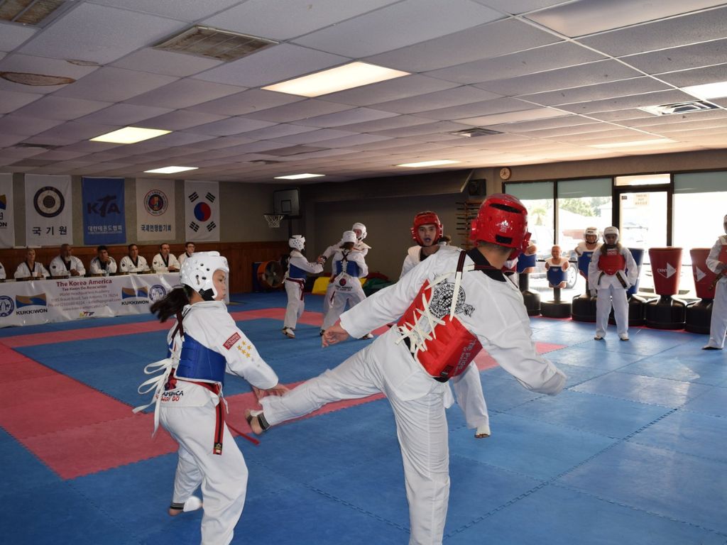 Korea-America Taekwondo Academy 1