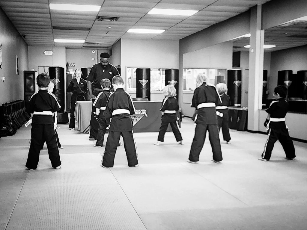 Premier Martial Arts 1