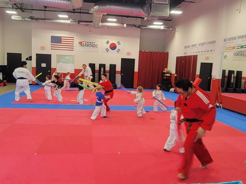 San Antonio Expert Taekwondo 1